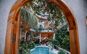 Cityhouse Vibe City Oasis